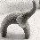 Elephant Small C