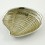 Shell Plate - Beige