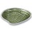 Shell Plate - Green